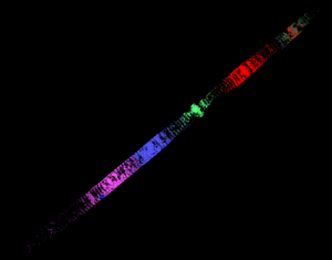 Clifton Hall Tunnel Subsurface Laser Scan Survey